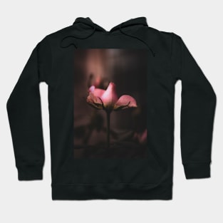 Rose bud Hoodie